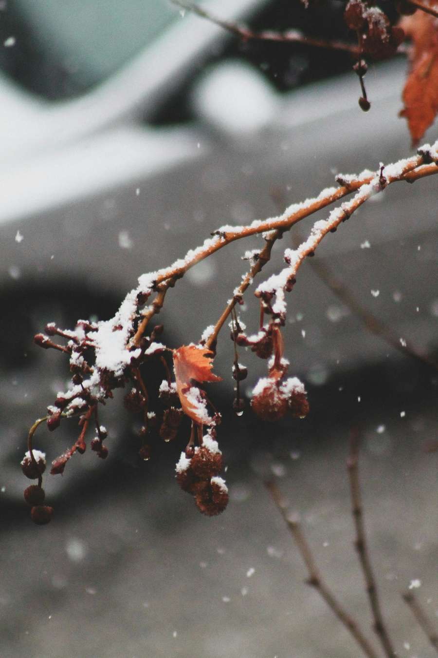 28 Facts About Earthquakes That Reveal How Alive the Ground Beneath Us Really Is