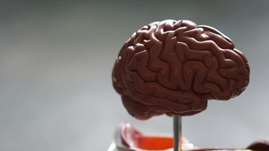 Sleep deprivation causes your brain to literally eat its own cells.