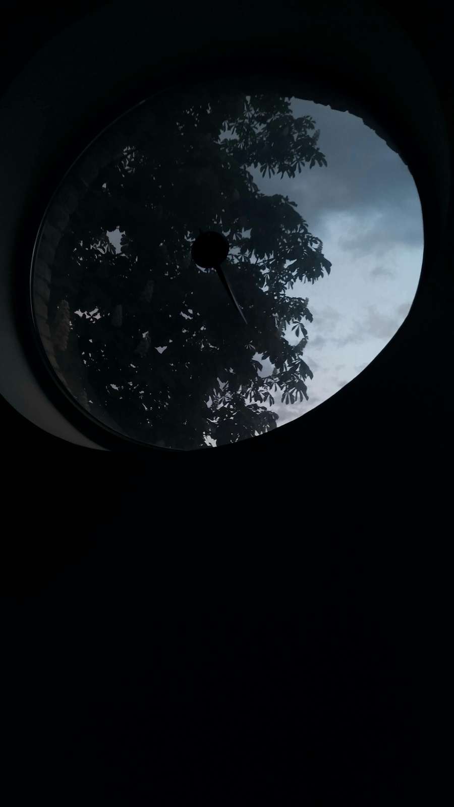 The Himalayas grow faster than your fingernails every single year.