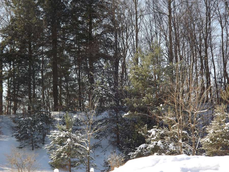 The Story of Human Migration Out of Africa Is More Complex Than We Thought