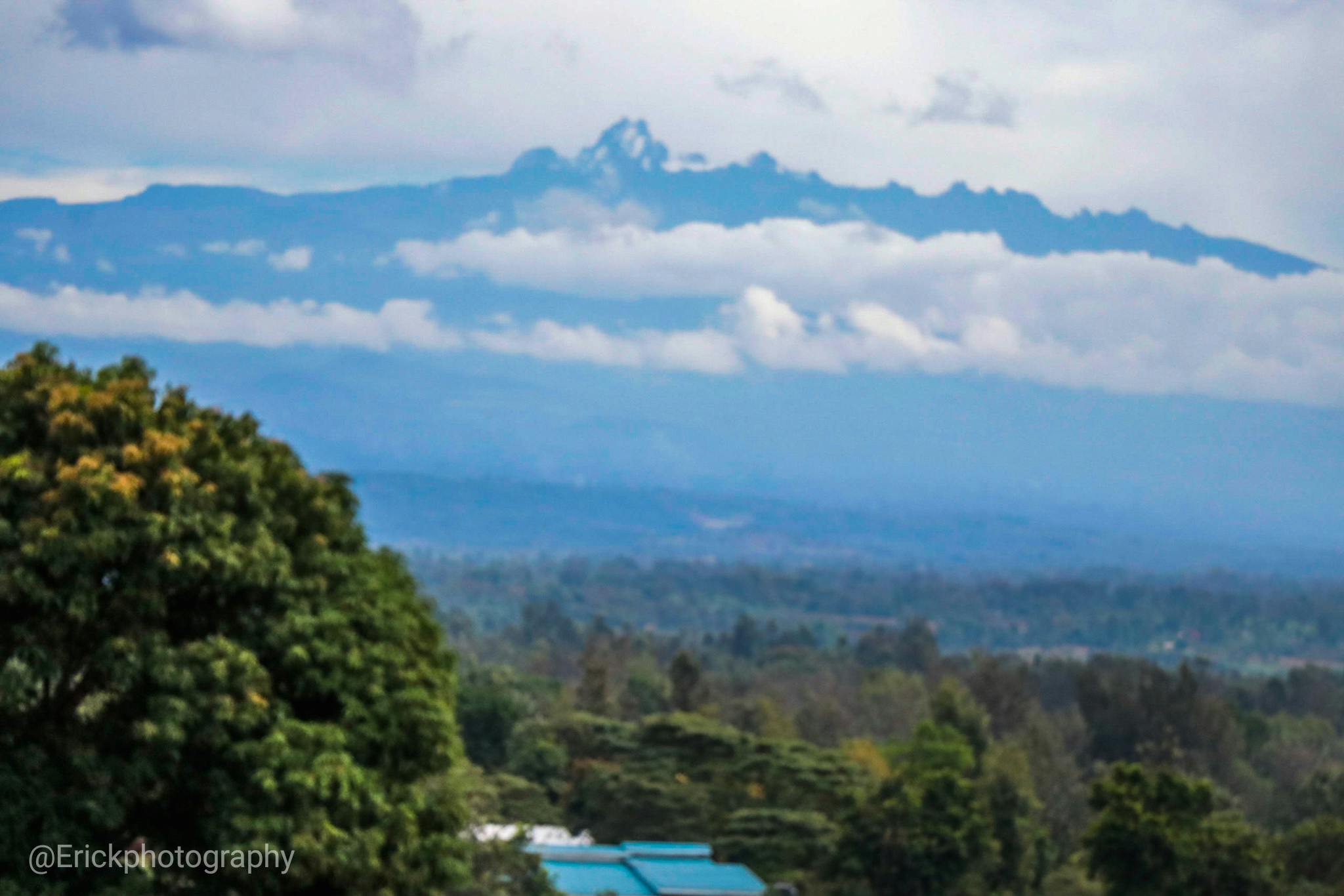 Over 99% of all species that ever lived are now extinct.