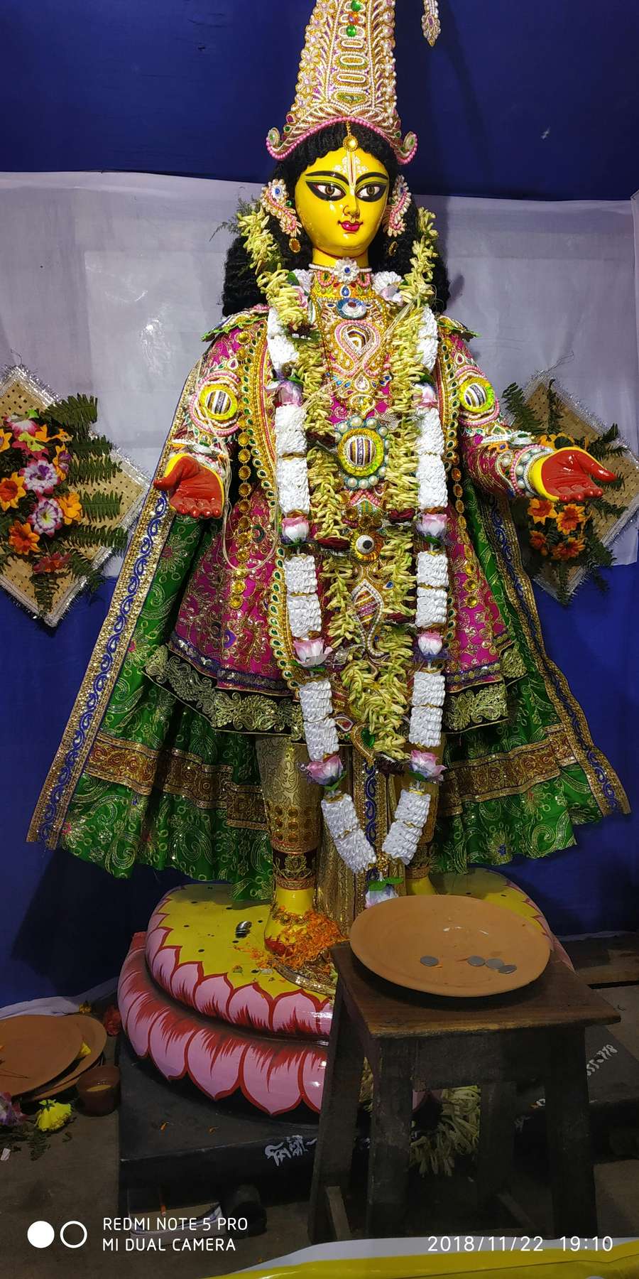 Fireflies are actually beetles, and they are rapidly facing global extinction.