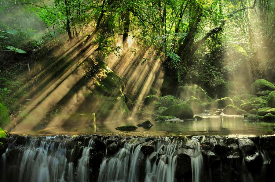 Why the Amazon Rainforest Is Not the Lungs of the Earth — But Something Better
