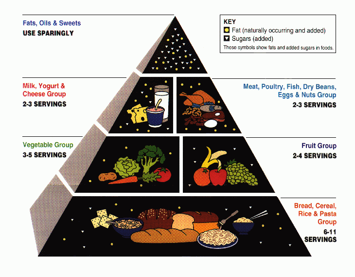 Why the Food Pyramid Was Wrong — And What Scientists Say Now